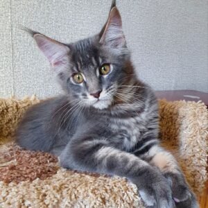 Oliver