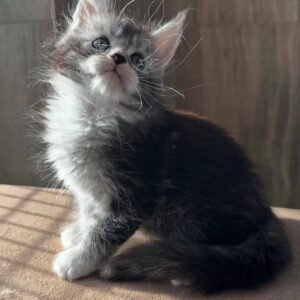Mia