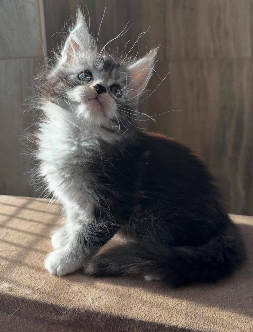 Mia