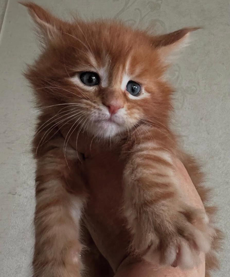 Milo